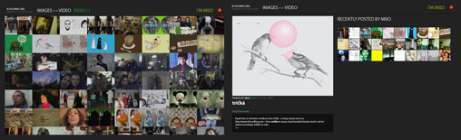 blog.virae